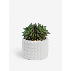 Кашпо "КОЛЮЧКА BIG" Кашпо "КОЛЮЧКА BIG"