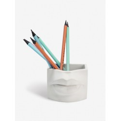 Кашпо "ГУБЫ" Кашпо "ГУБЫ"