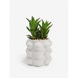 Кашпо "BUBBLES"