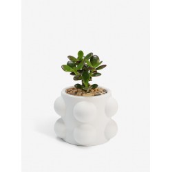 Кашпо "BUBBLES mini" Кашпо "BUBBLES mini"