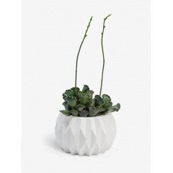 Кашпо "GOFRA" Кашпо "GOFRA"