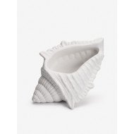 Шкатулка "РАКУШКА БИГ" Шкатулка "РАКУШКА БИГ"