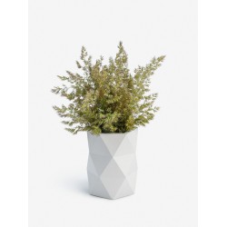 Ваза "ГЕКСА" Ваза "ГЕКСА"