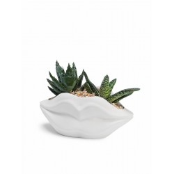 Кашпо "ГУБЫ BIG" Кашпо "ГУБЫ BIG"