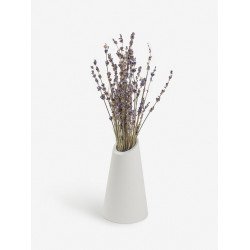 Ваза для сухоцветов "ВУЛКАН" Ваза для сухоцветов "ВУЛКАН"