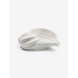 Шкатулка "РАПАНА" Шкатулка "РАПАНА"