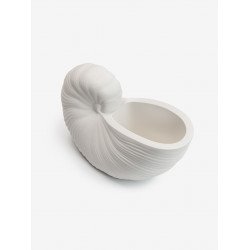 Шкатулка "НАУТИЛУС"