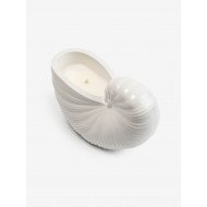 Ароматическая свеча "АБРИКОСОВЫЙ КОНФИТЮР", форма НАУТИЛУС