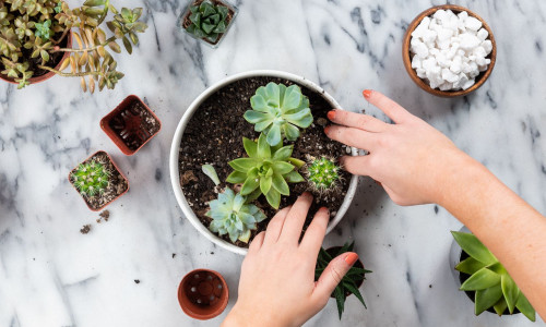 Гайд по уходу за растениями и кашпо Villermo